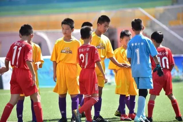 杨瀚森14+11青岛胜同曦 陈国豪12+7北控负深圳